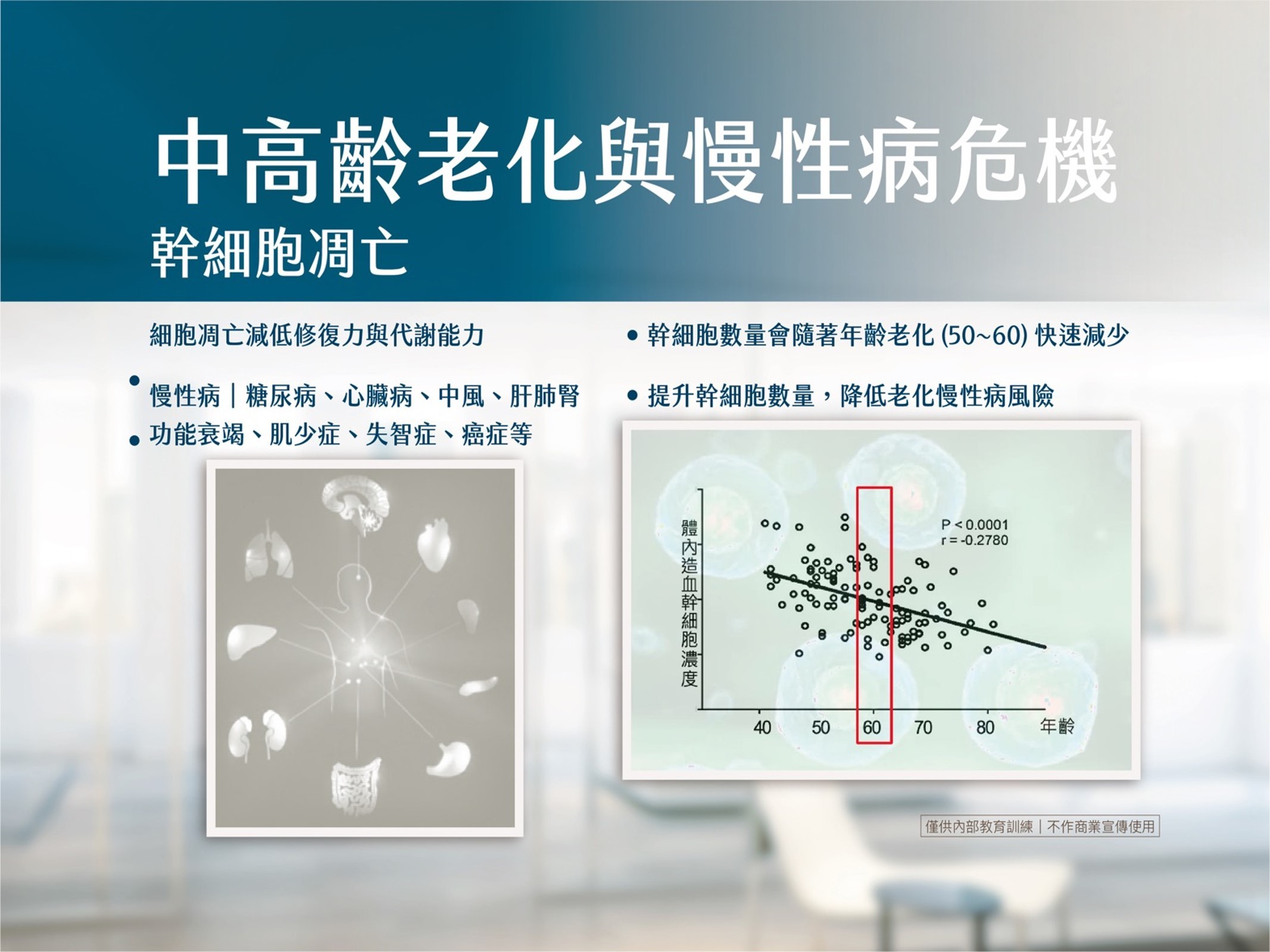 百麗絲丹 CD34