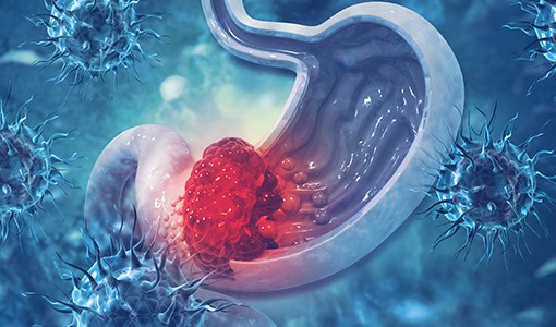 Power-Stem Biomedical Research_Cancer Prevention Research2