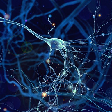 Power-Stem Biomedical Research_Chronic Neurological Diseases